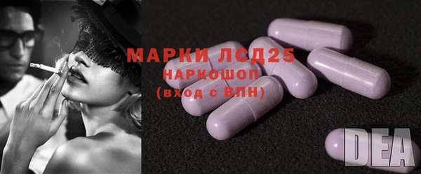 винт Абаза