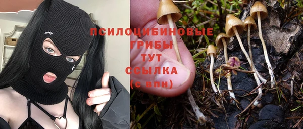 винт Абаза