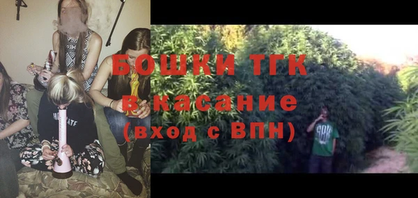 винт Абаза
