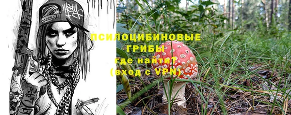 винт Абаза
